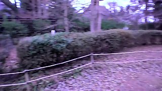Dazzling Japanese babe flashes her sexy body in the outdoors