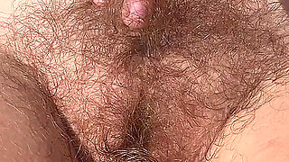 Sunrise Hairy Bush and Cigars Tanning in the Garden