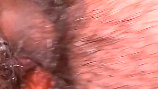 Dulce P's Wet Pussy Takes Hard Cock Before Creamy Cum Load!