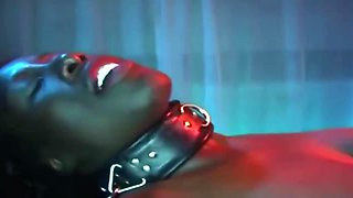 initiation a la baise bdsm avec des chiennes