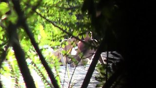 Voyeur captures amateur couple having sex on the beach