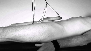 bound and milked to handsfree orgasm. e-stim cumshot edging