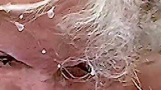 Wet - Bukakke Dana Gets Pissed On