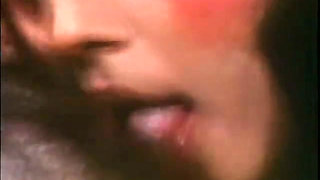 Classic Porn Dvds Plato's Retreat West Part 1