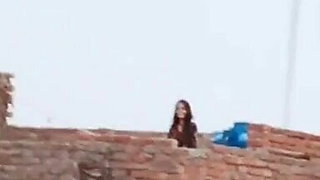 Dasi