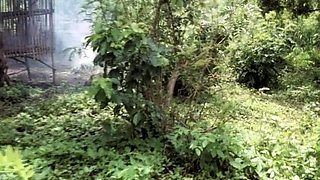Kisah Asmara Para Perawan