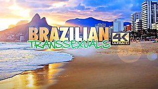 BRAZILIAN TRANSSEXUALS Hot Tall Newbie Debuting