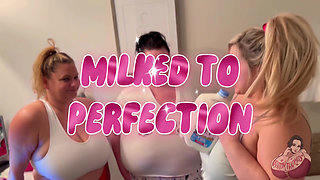 Milked to Perfection