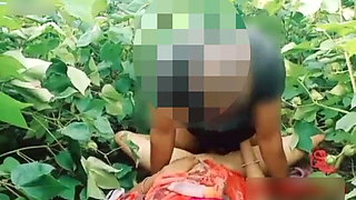 Bhabhi KO khet me choda
