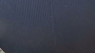 Fuck in the Ass Non-stop!you Crazy My Ass Is Buzzing!
