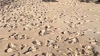 CUCKOLD TEENFRIEND MEXICAN LATINA MARRIED WITH HER HOTWIFE HUBBY AMATEUR HOTWIFE PROVIDING IT UP ON THE BEACH TO THE LIFEGUARD