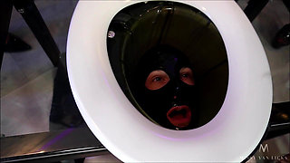 Toilet Must Swallow