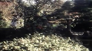 Vintage MILF Desiree Cousteau Shares One Lucky Stud in Hot Group Sex