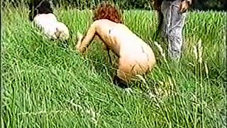 Wild Paddock