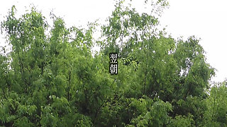 A082G04 The wife next door who passed by made a mistake in the room...! with too much momentum! Morning SEX the next morning!
