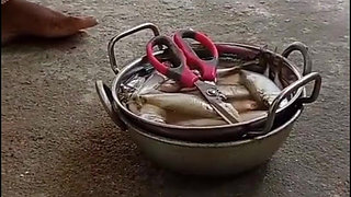 Fucking Doggy Style and Cum Shot