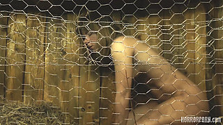 Horror Porn 37 Rabbit Hutch