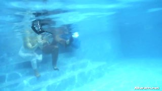 POOL PALS KEEP IT NICE AND COOL