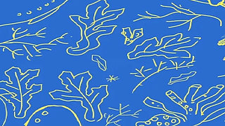 The Selkie (part 5)