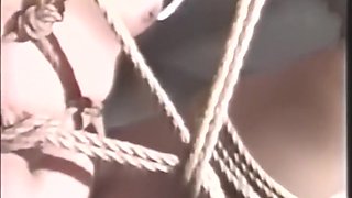 Japanese Bondage 5