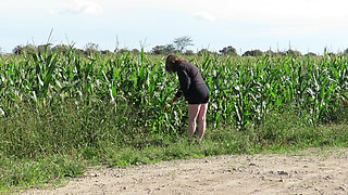 Patricia in Corn Field