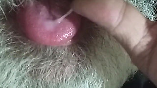 I Ate Milk My Macro