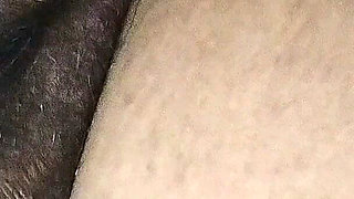 Big Black Pussy